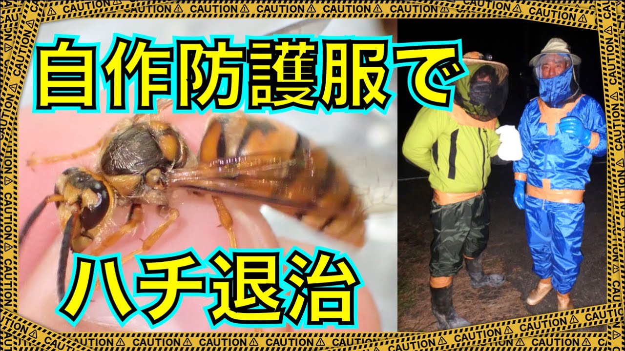 手作りの防護服でスズメバチの巣を強奪して蜂の子とハチ酒を作って食べる