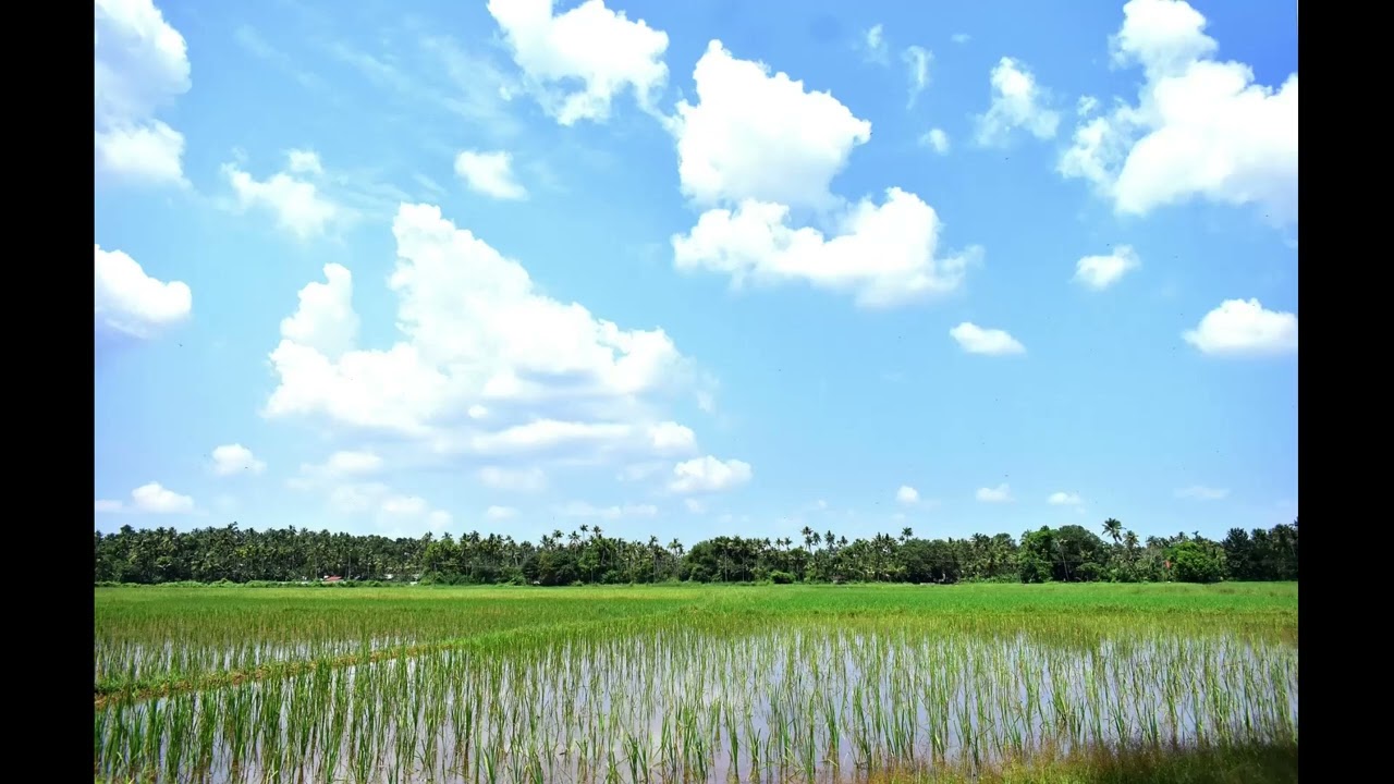 Floating Clouds Bliss