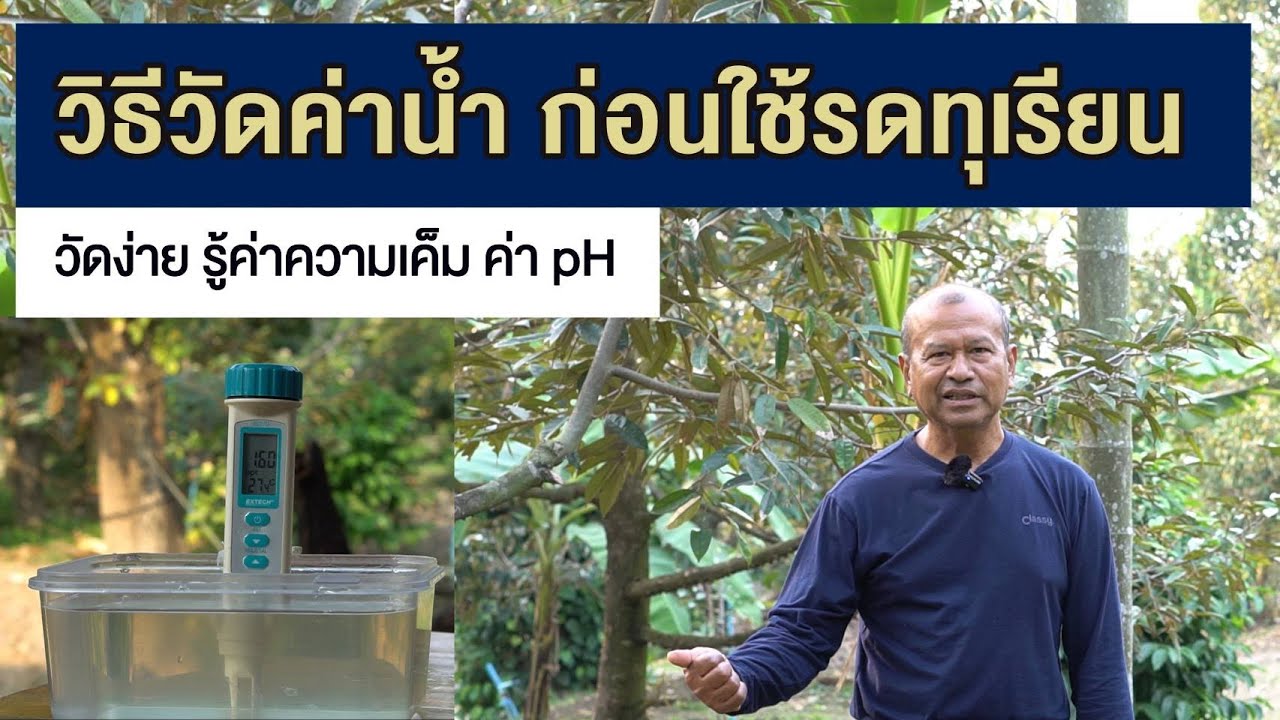 สวนตาก้าน ('67)  วิธีวัดค่าน้ำ ก่อนใช้รดทุเรียน