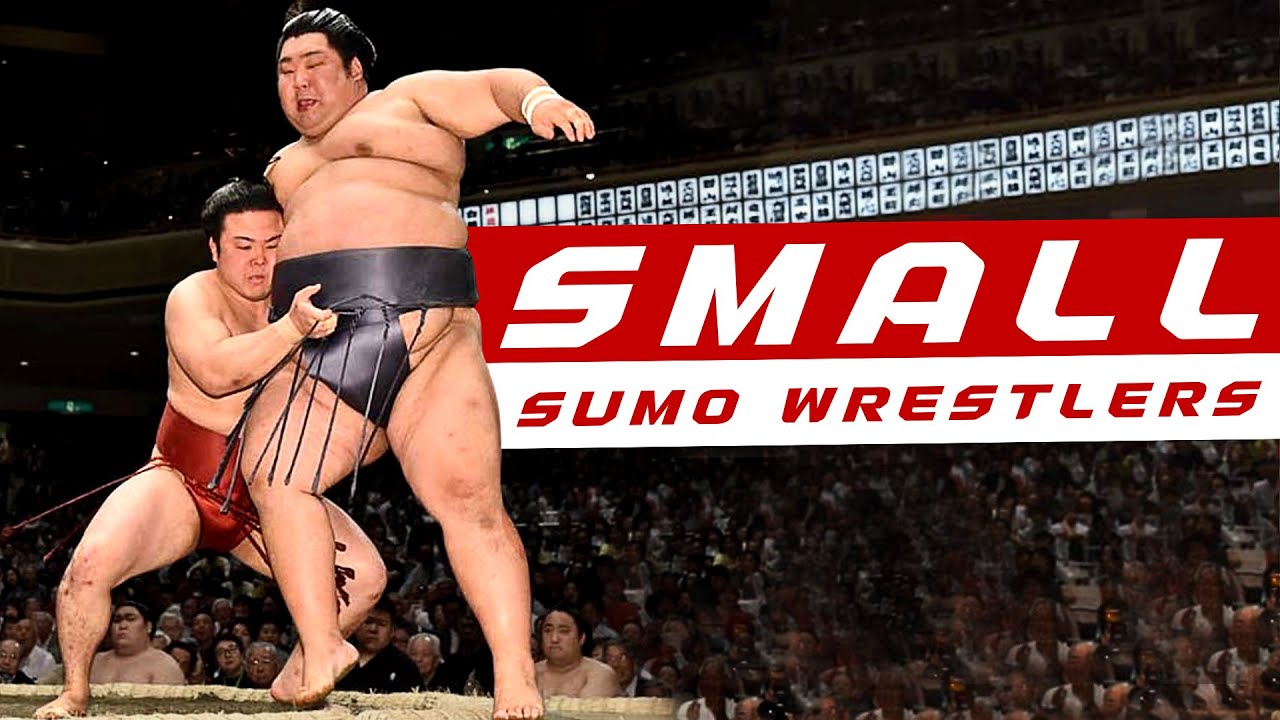 Amazing Small Sumo Wrestlers