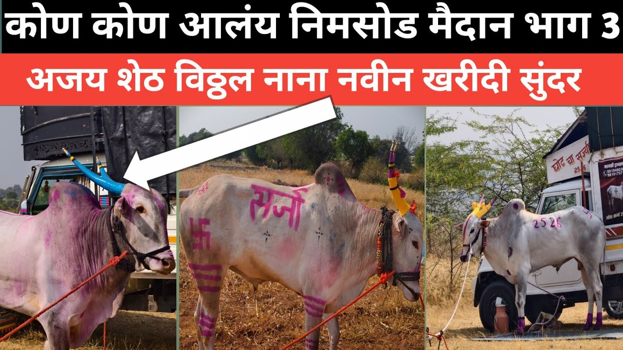 विठ्ठल नाना नवीन खरीदी सुंदर /कोण कोण आलंय भाग 3