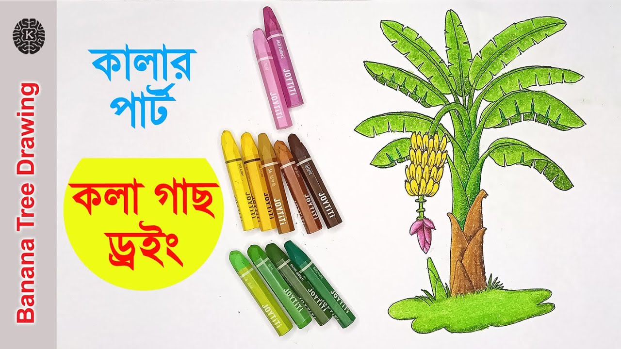 How to Draw Banana tree by pastel color| Banana tree Drawing Easy Step by Step| Draw step by step