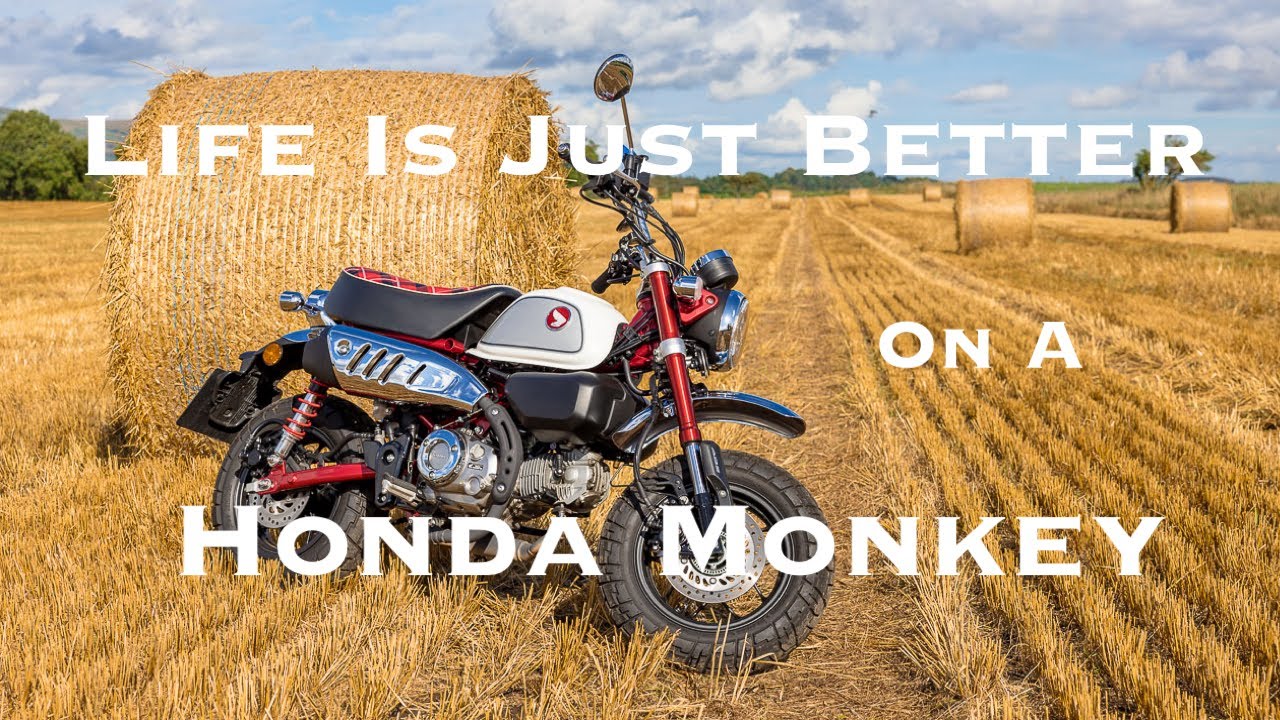 2023 Honda Monkey 1500 mile Review
