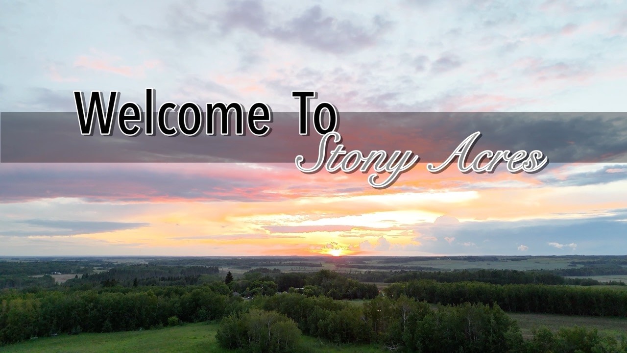 Building a Self-Reliant Homestead -Rural Living