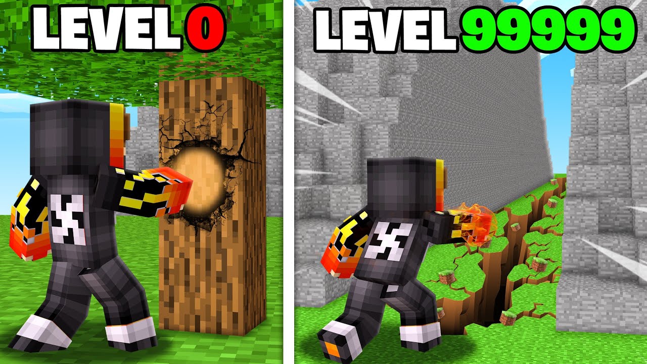 Level 1 Punch Vs Level 9,84,923 Punch in Minecraft...