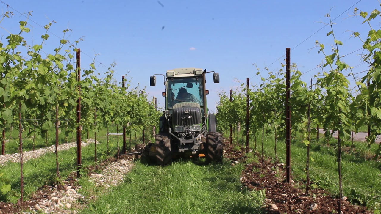 Fendt 207 V + fresa Orizzonti