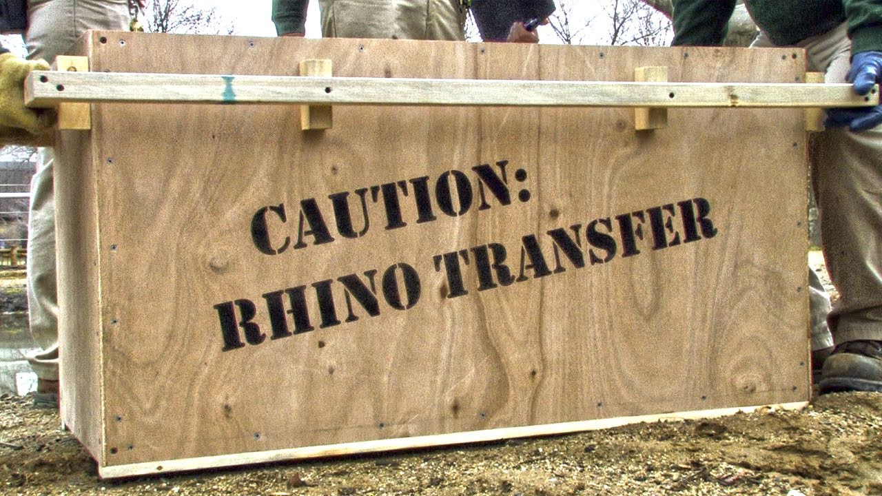 Operation Rhino - Brookfield Zoo