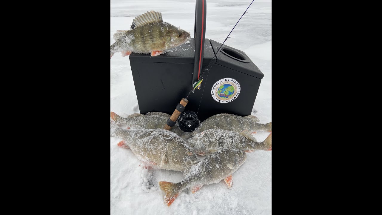 eseriai ziema balansyrais, Ice perch fishing,