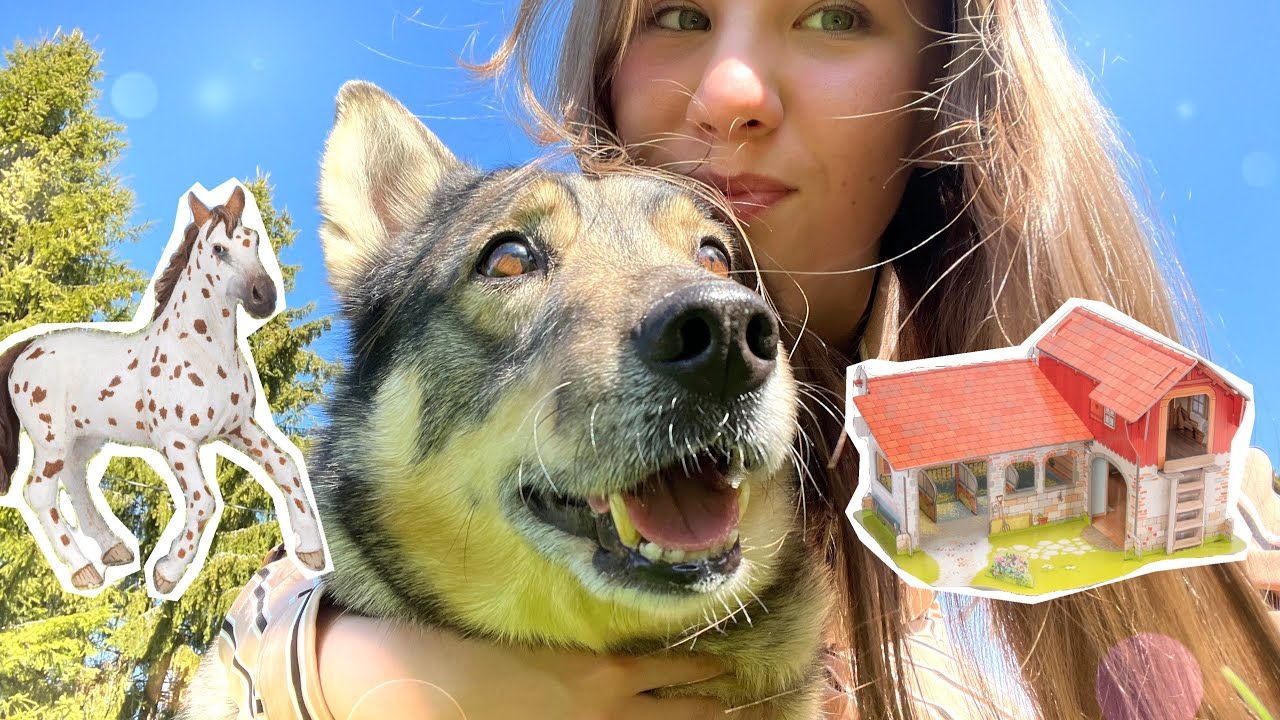 Unboxausta Maxin kanssa🐶