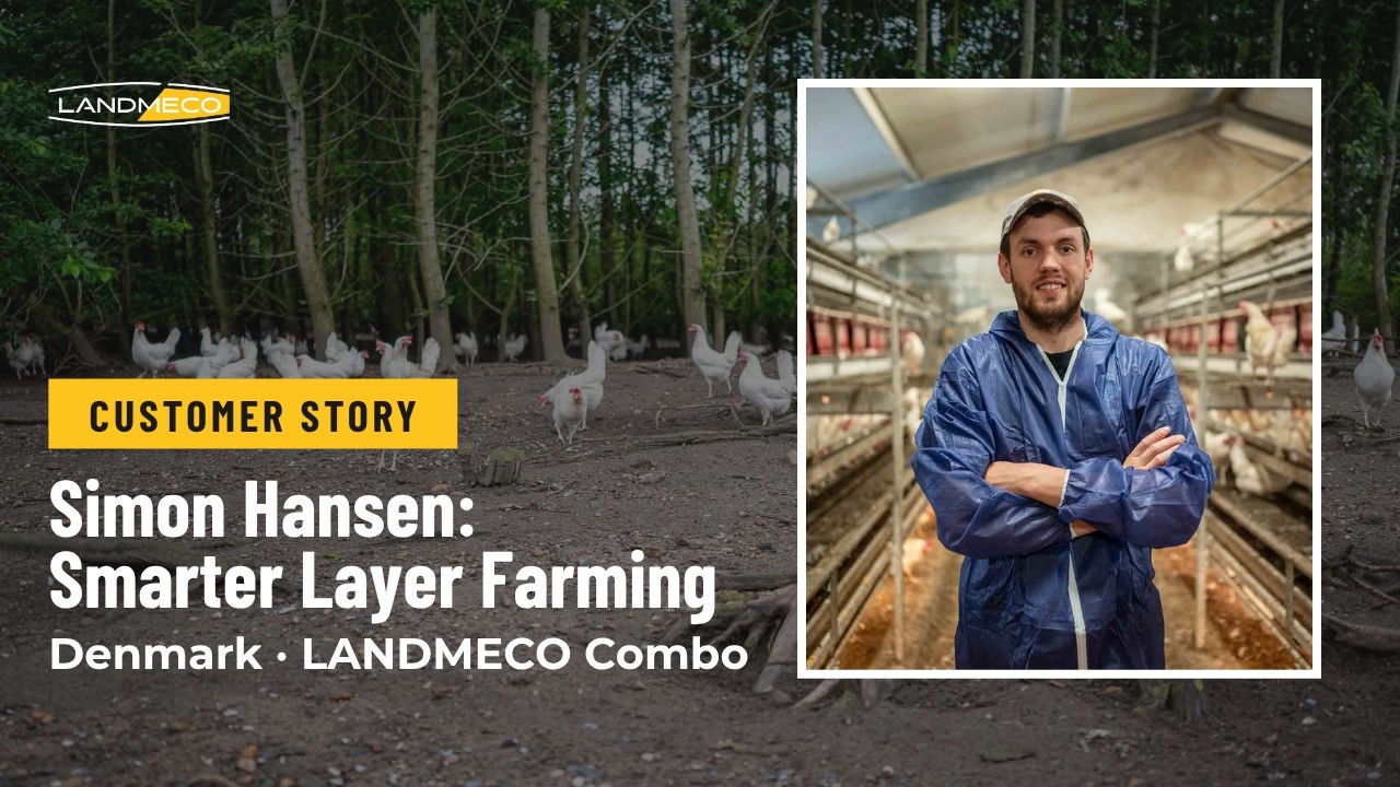 Why This Danish Egg Farmer Chose Landmeco&rsquo;s Efficient Combo Aviary System