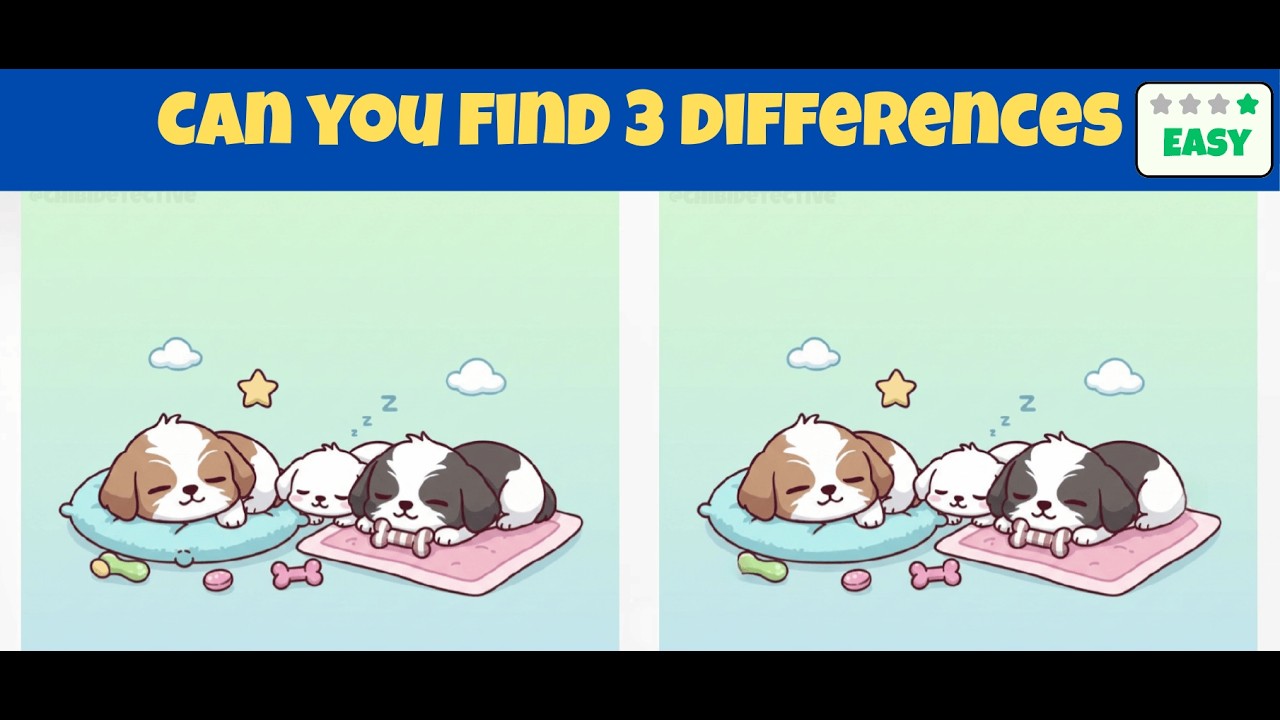 Spot 3 Differences  Brain Exercises  0050