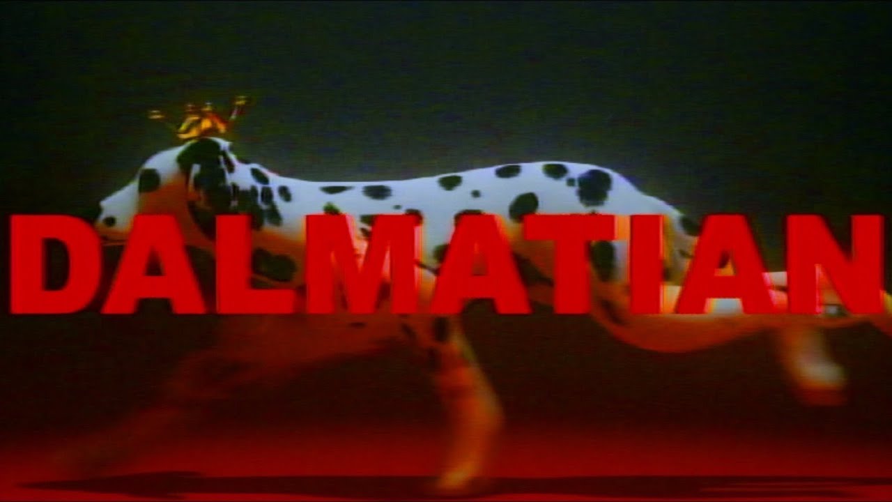 PEOPLE&nbsp;1&nbsp;&ldquo;DALMATIAN&rdquo;&nbsp;（Official&nbsp;Video）