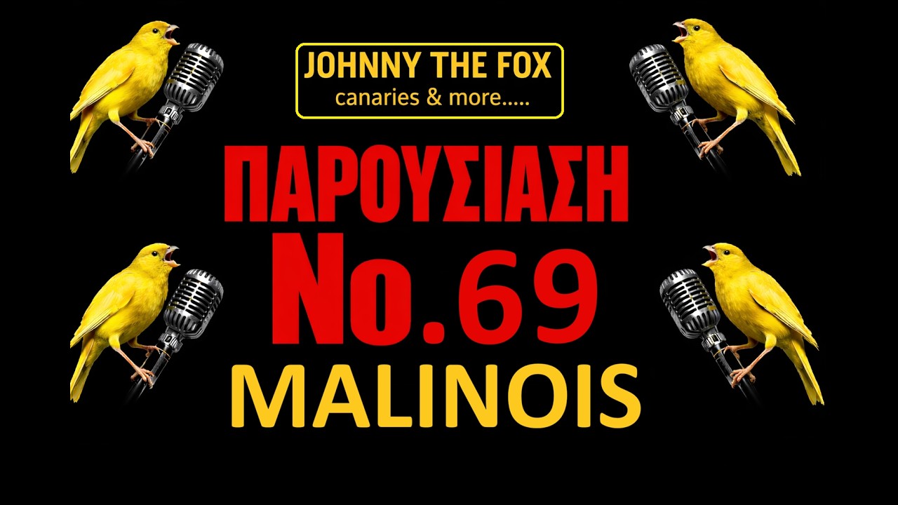MALINOIS.....ΠΑΡΟΥΣΙΑΣΗ Νο 69