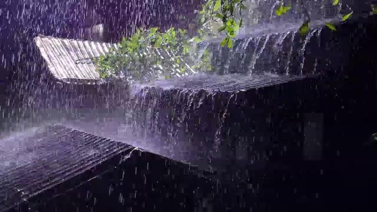 Night Thunderstorm Ambience 🌙 Heavy Rain on Metal Roof