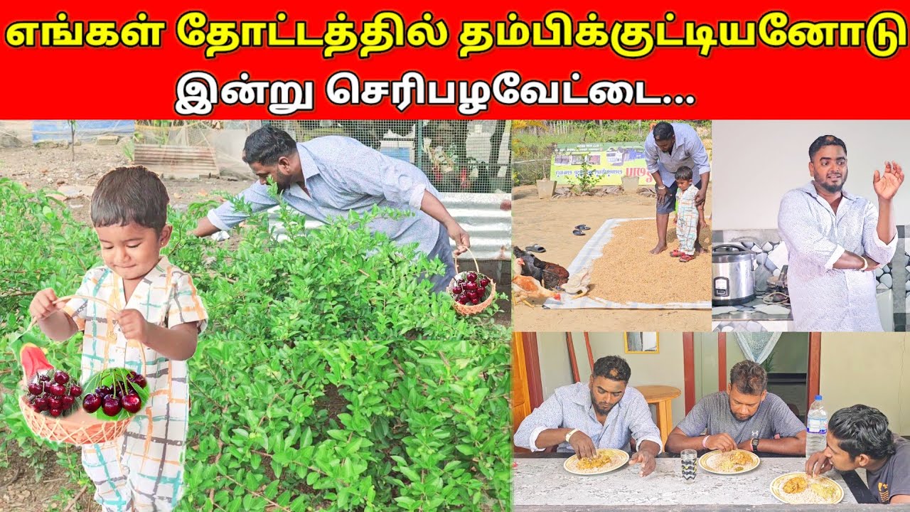 Workers இன்று நான் சமைத்த மதியசாப்பாடு...👍👍/SSV VLOG/jaffna vlog/👍👍