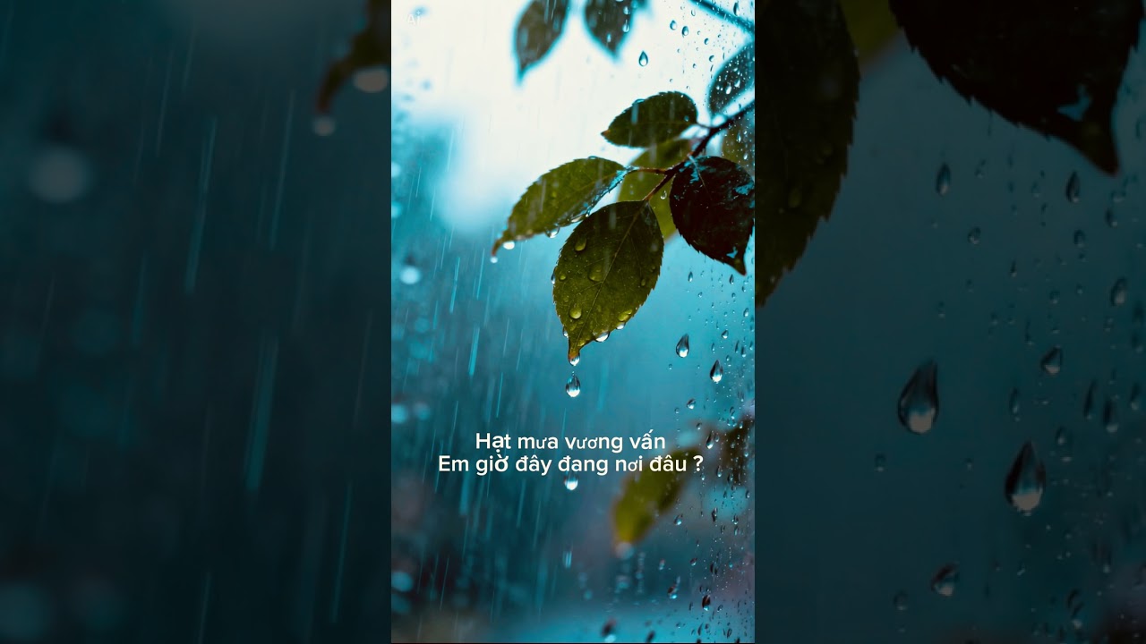 Hạt mưa vương vấn - AiMusics Cover