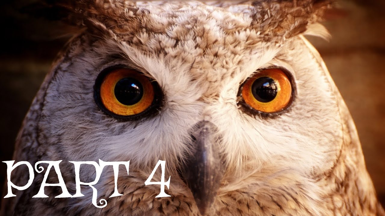 Hogwarts Legacy - Part 4 | PC Gameplay Walkthrough