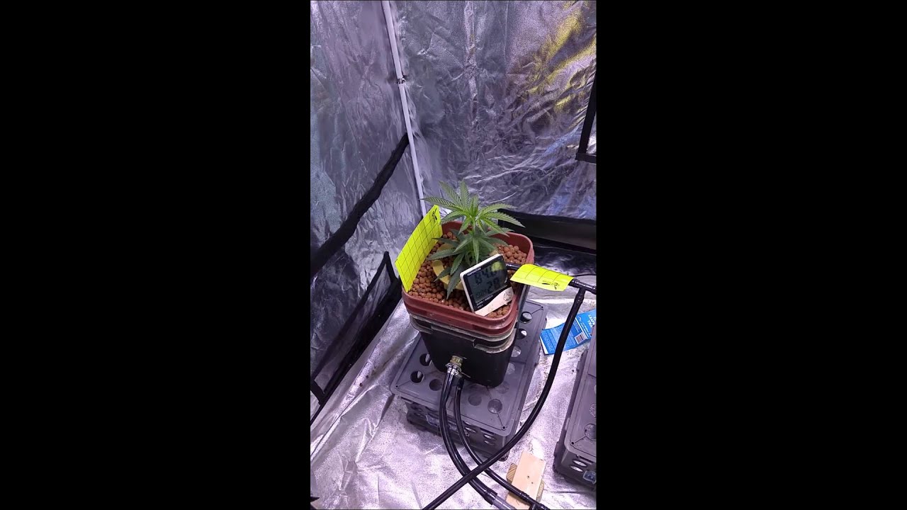 Chem4 OG New Setup