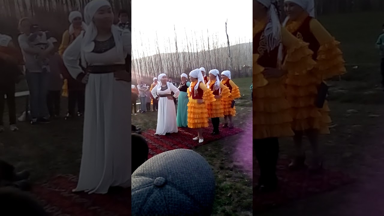 Кок алма айылы