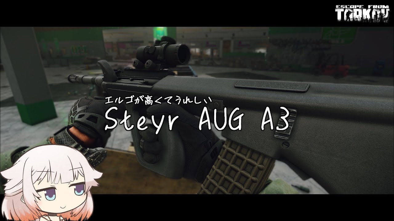 Steyr AUG A3　エルゴが高くてうれしい銃器【ONE実況】【タルコフ】【EFT】