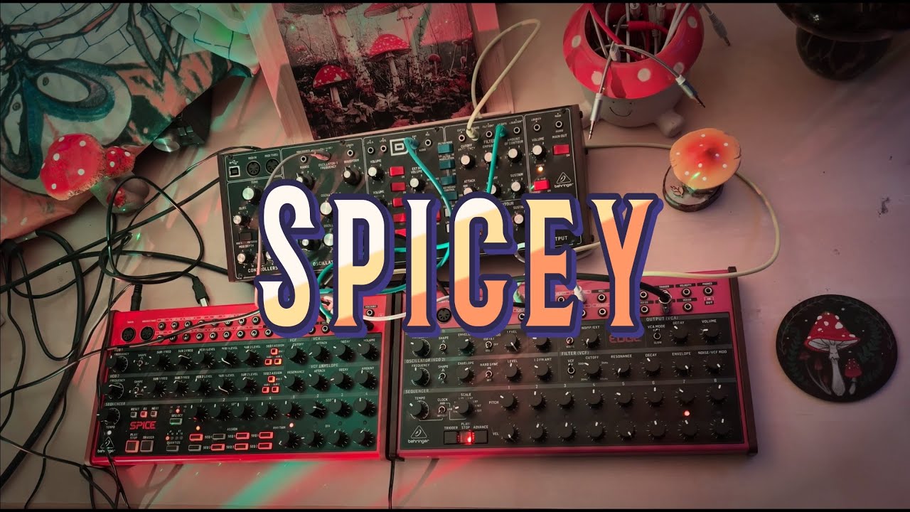 Spicey Groove - Behringer Spice, Edge & Model D