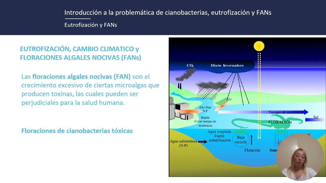 Tema 1: Introducción a la problemática de cianobacterias, eutrofización y FANs