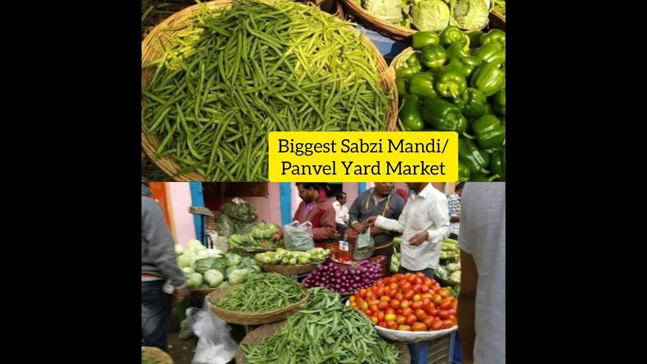 Panvel Vegetables market| Biggest Sabzi Mandi| भाजी मंडी // Panvel Market