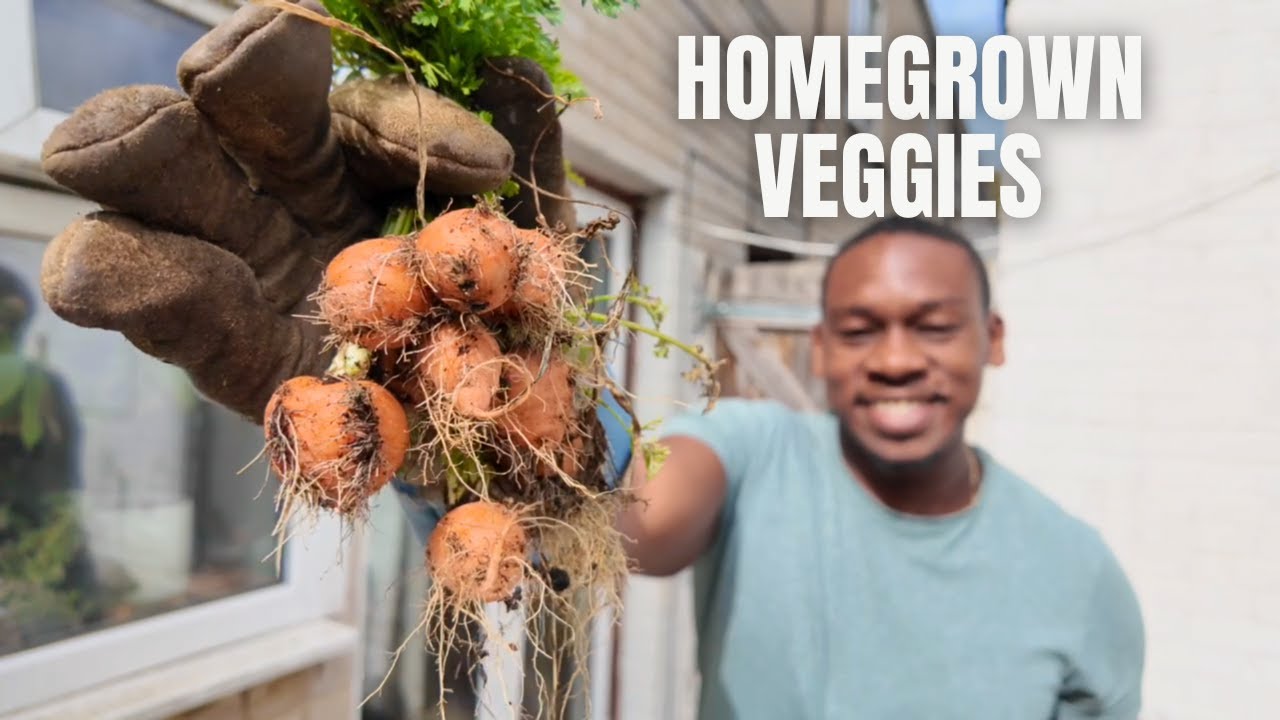 My FIRST Vegetable Harvest! 🥕🧅 From Garden to Table