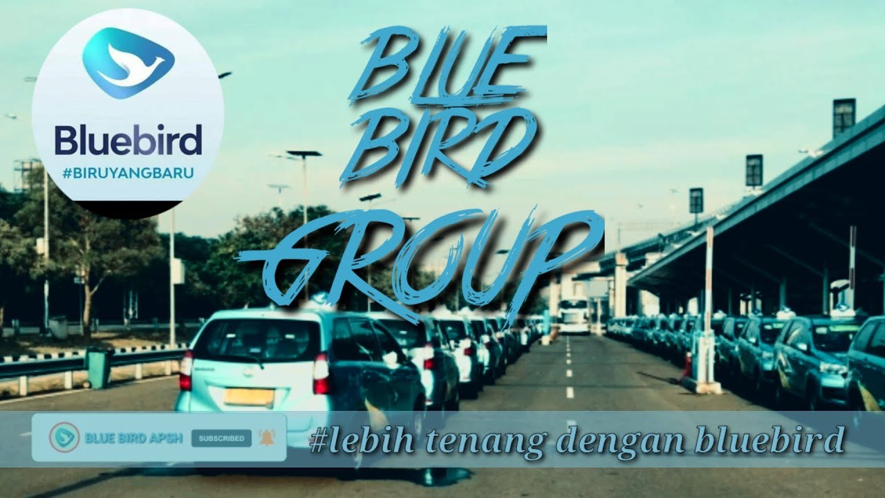 BLUEBIRD GROUP APSH #bluebird #bluebirdgroup #goldenbird #silverbird #bigbird