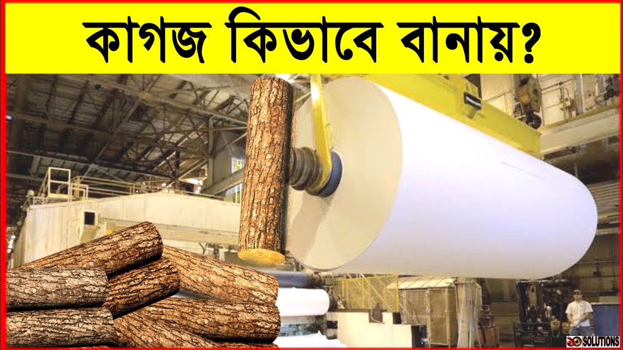কাগজ কিভাবে বানায়? | How Wood Turns Into Paper
