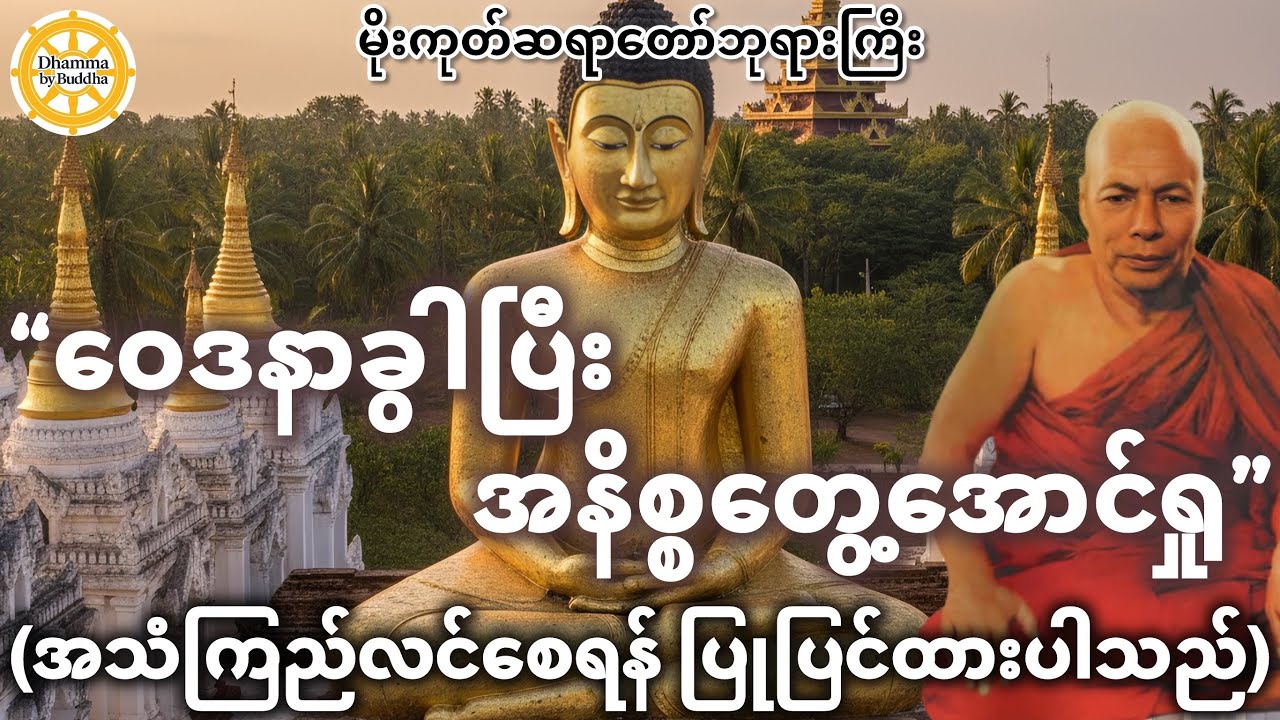 ဝေဒနာခွါပြီး အနိစ္စတွေ့အောင်ရှု ဝိပဿနာတရား​တော်် (အသံကြည်) | မိုးကုတ်ဆရာတော်