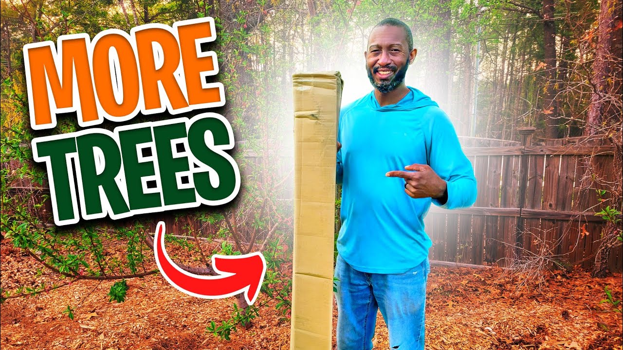 Exciting Permaculture Food Forest Unboxing Of Fruit Trees