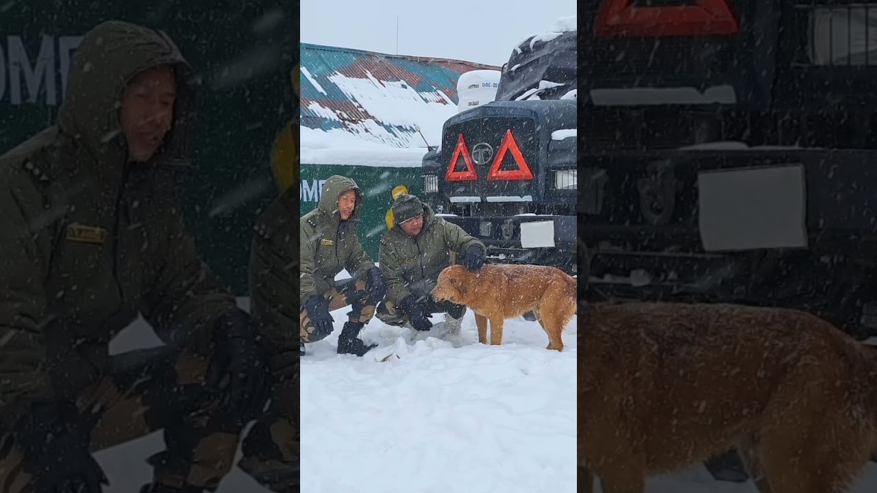 BSF Kashmir #bsf #indianarmy #motivation #ytshorts