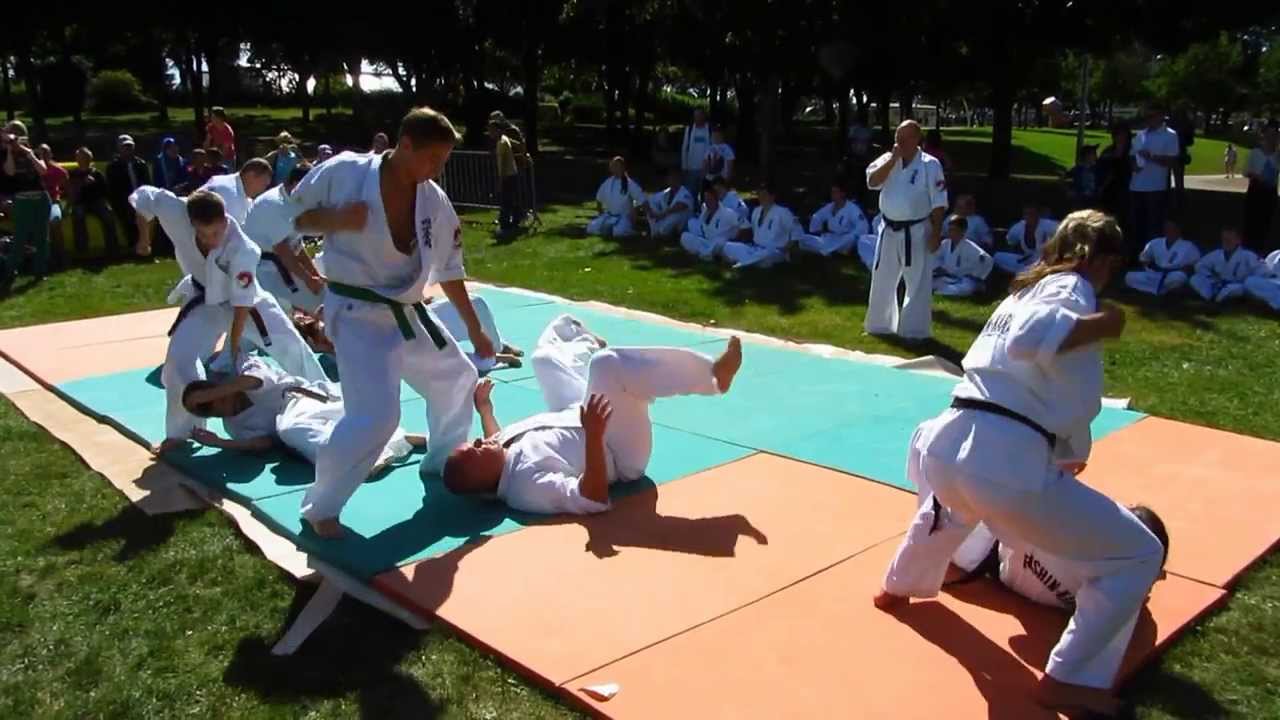 Ukrainian Enshin Karate Organization in France. September, 3-15, 2013