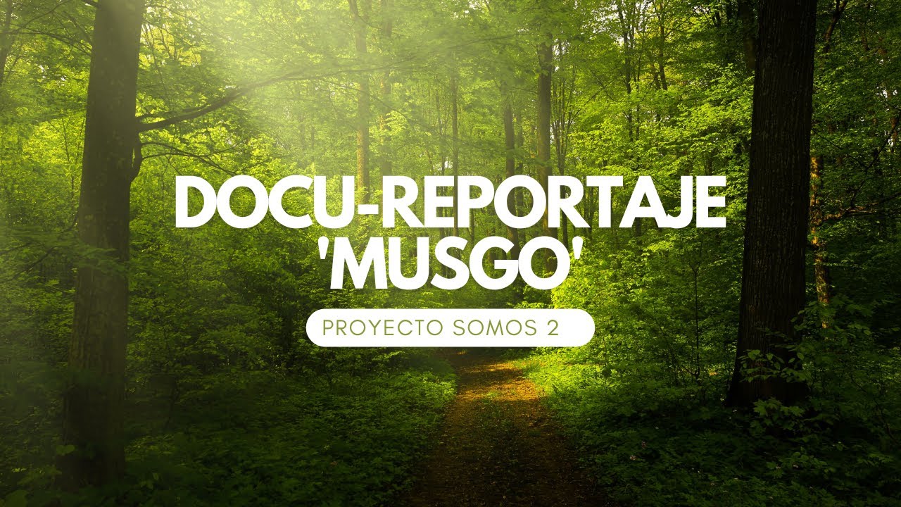 Reportaje - VIDEOCLIP MUSGO (Chungo Pastel feat. Fillas de Cassandra)
