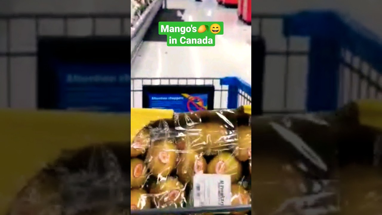 MANGO'S in Canada 🥭😄 #shorts