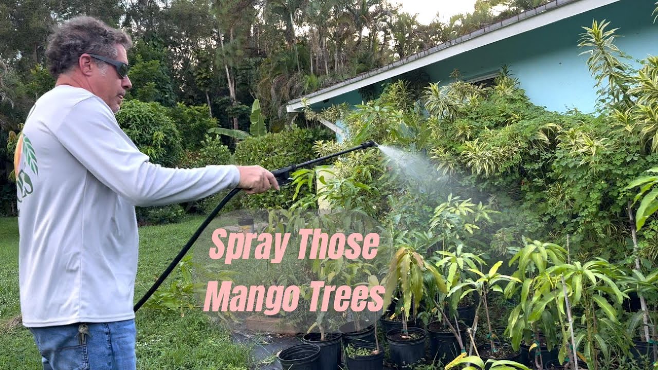 My Fruit Tree Sprayer