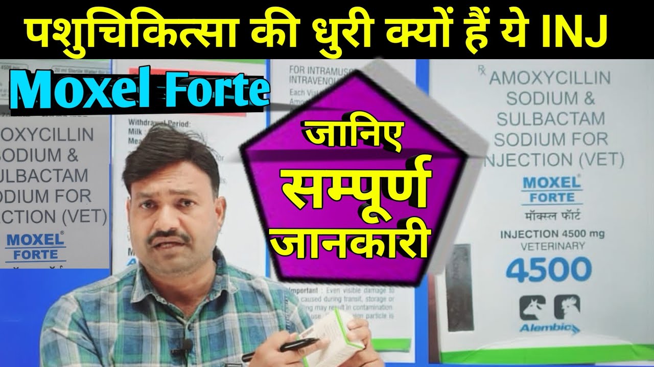 Moxel forte Injection veterinary use in hindi