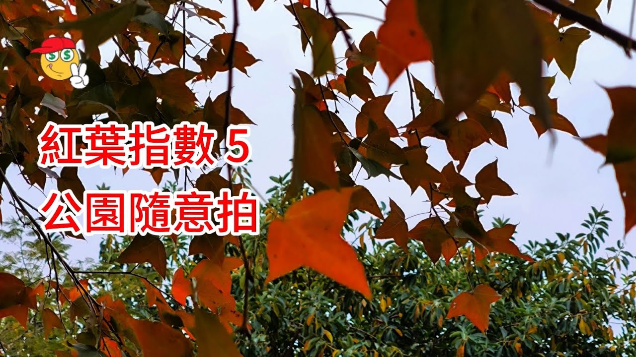 紅葉指數5_公園隨意拍