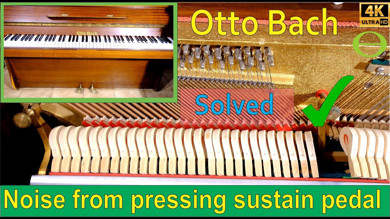 Scratching noise from pressing sustain pedal on an Otto Bach piano - solved