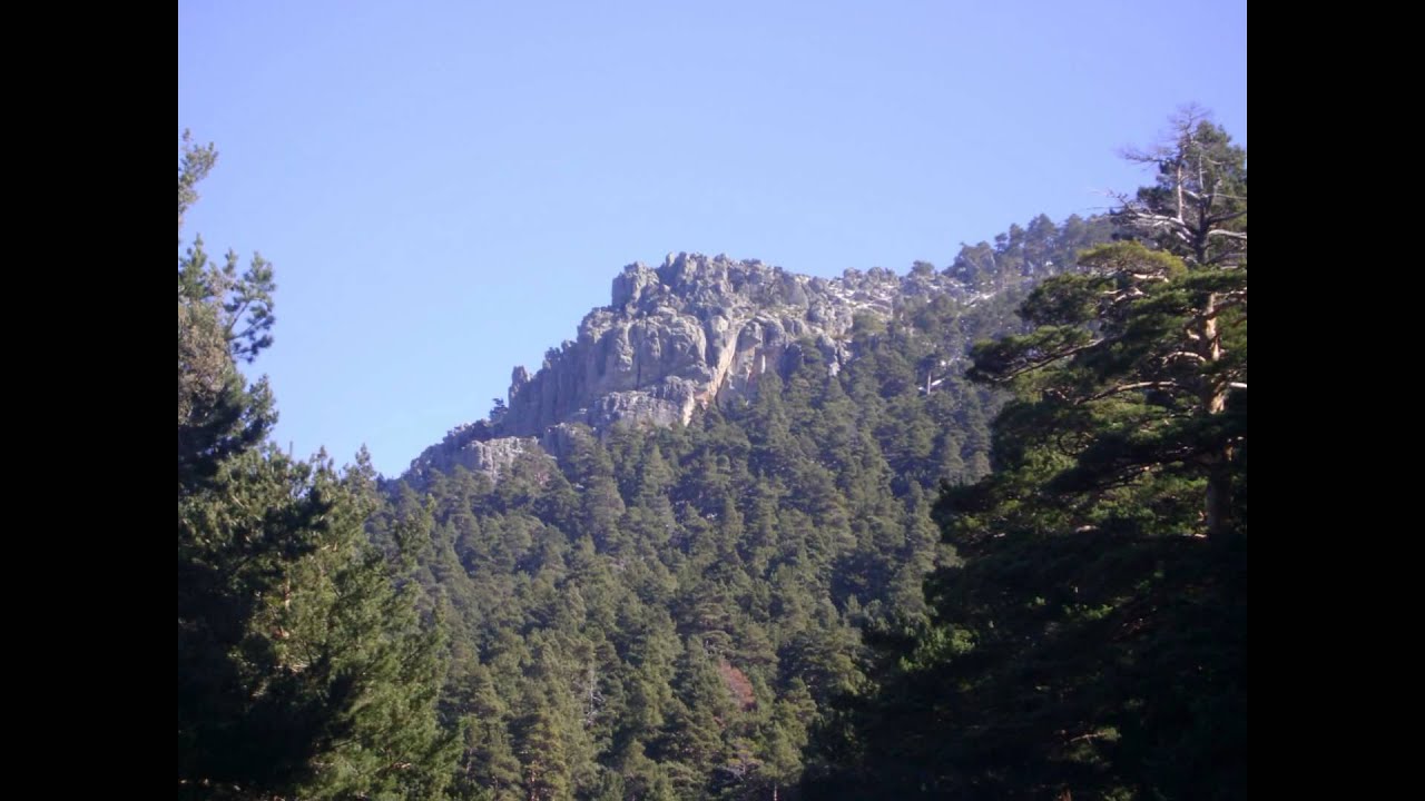 Remontar&eacute;