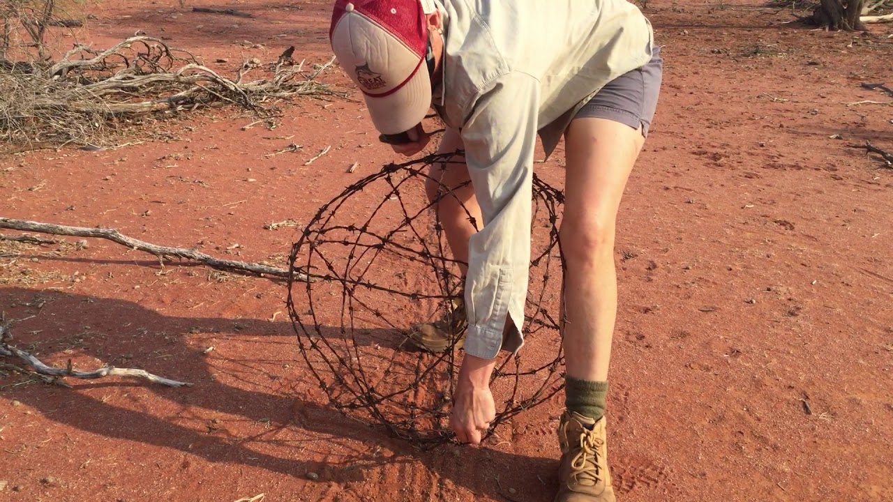 The making of your very own barb wire ball  PART 2