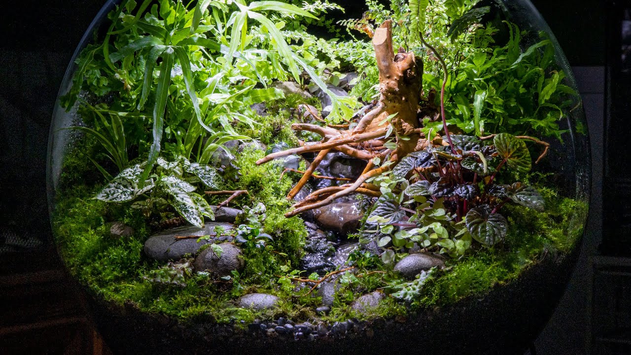 Stream Waterfall Terrarium (biOrb Version 3)