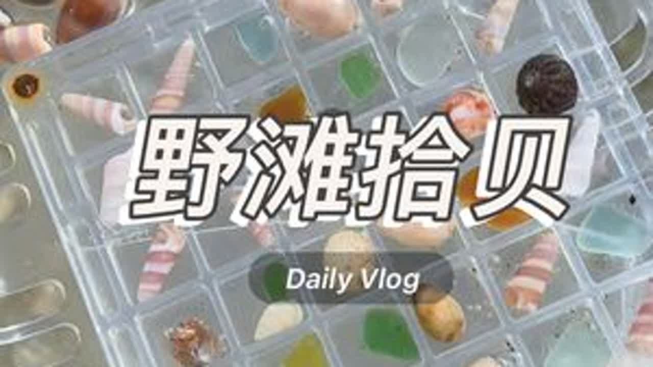 冠头岭野滩 位置难以描述并存在安全隐患，同款贝壳隔壁冠岭山庄2号楼有，可参考之前的视频介绍的具体位置，今日份解压治愈视频来啦#捡贝壳 #寻宝 #大海的馈赠 #实拍 #北海