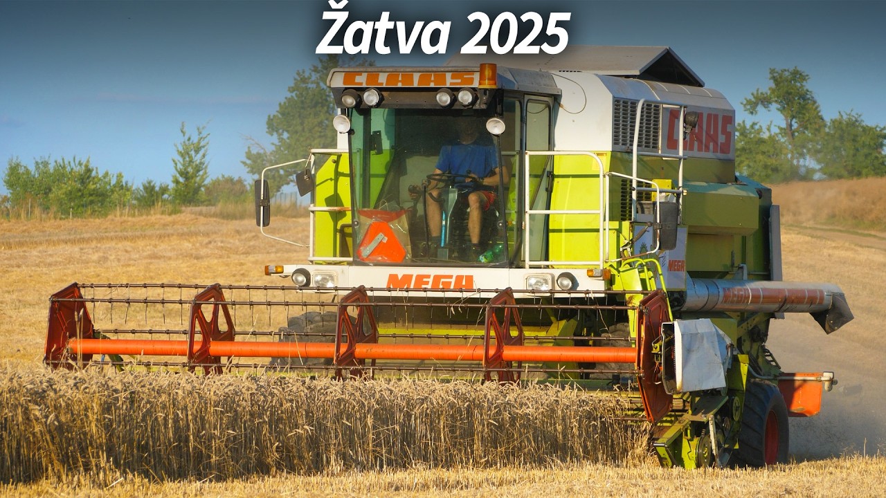 Žatva 2025 s novým Claasom MEGA Dominatorom 208 | Hruboňovo