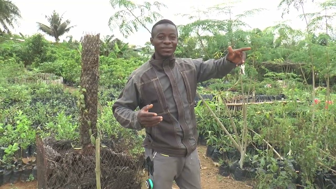 MAG- CHALLANGE PLANTAIN 2026 - SALON INTERNATIONAL 14 au 18 Mai