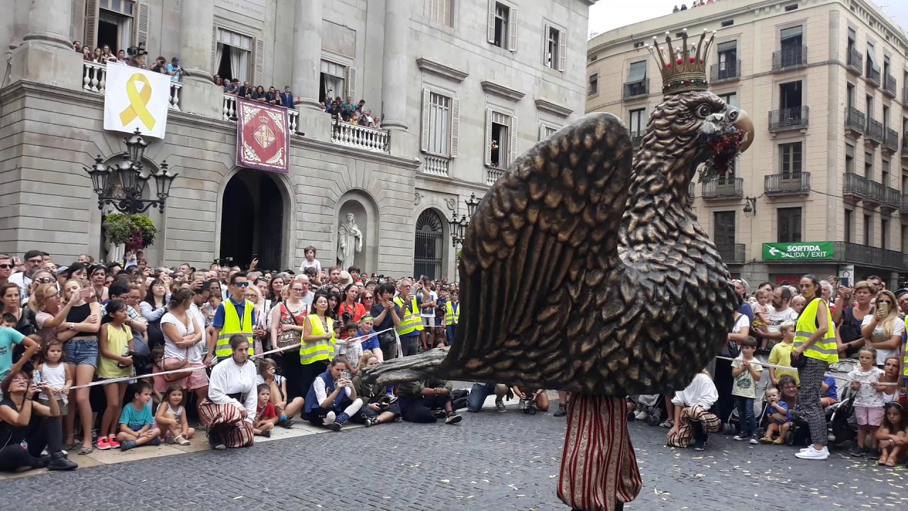 Seguici de la Mercè 2018 - Ball de l'Àliga de la Ciutat de Barcelona