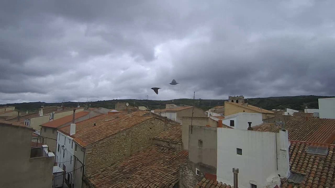 Tarde de pluja