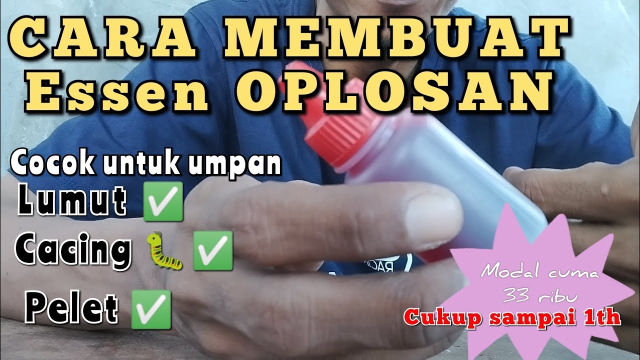 Cara buat Essen untuk Nila Babon#essen oplosan#essen untuk bandeng#campuran umpan lumut
