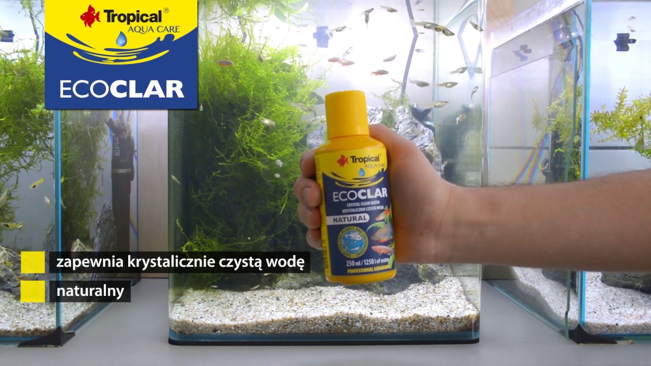 Krystalicznie czysta woda w akwarium - preparat ECOCLAR